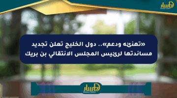 «تهنئة ودعم».. دول الخليج تعلن تجديد مساندتها لرئيس المجلس الانتقالي بن بريك